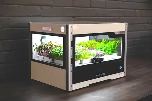 South African urban farming pioneer Homefarm raises seed funding to scale operations