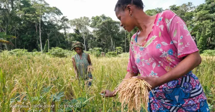 Opinion: Invest in Africa's food systems to avoid future crisis