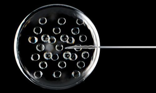 'We saw huge potential to disrupt the market': biotech firm creates 'world-first' cultivated bovine lactoferrin