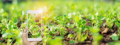 Appetite For Disruption ' Making The Most Of The Future Of Food