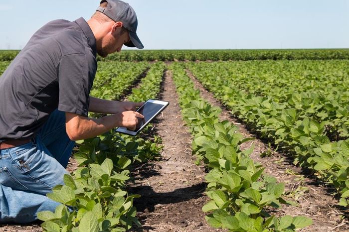 How XR Tools Are Transforming Food, Farming