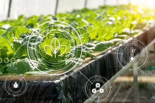 Saudi Arabia plans major AI push for sustainable food production
