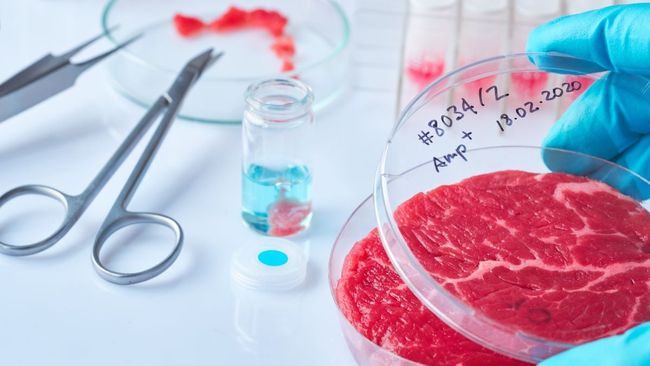 From prediction to production: A timeline of cultivated meat
