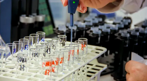 Bioscience firms Novozymes and Chr. Hansen to merge in biggest-ever Danish deal