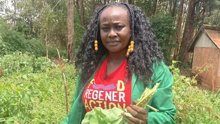 Why Kenya is turning to genetically modified crops to help with drought