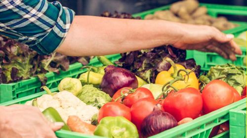 Food waste solutions must not shy away from processing, IFT says