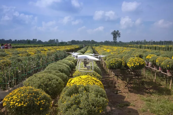 The rise of autonomous farms: How technology is revolutionizing agriculture