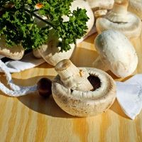 Singapore scientists on track to commercialize fungi-based protein that upcycles food waste