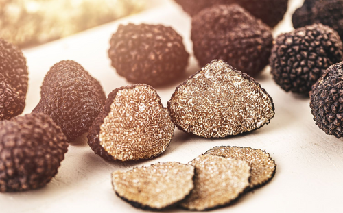 MycoTechnology unearths next-generation sweet protein from fungi