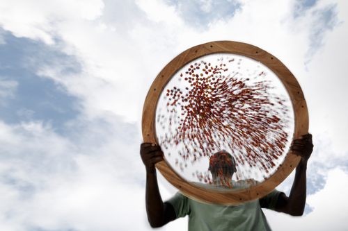 Inside Nescaf''s CHF1bn regenerative agriculture drive: 'The urgency to act is now'