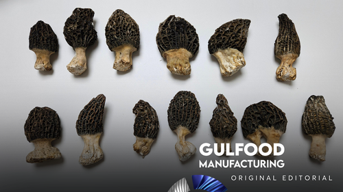 Can Mushrooms Provide the Sustainable Solution Food Manufacturing Needs?