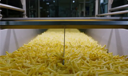 AI Meets Agrifood: Belgian Company Wins Big Backing to Make Food Processing Smarter and Greener