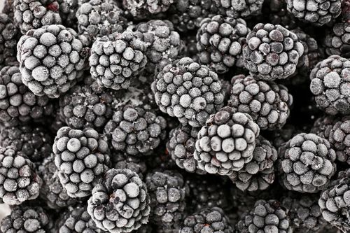 Technologies Shaping Food Processing 2022