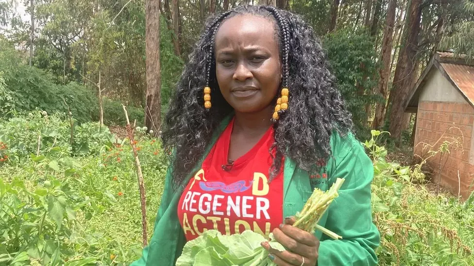 Why Kenya is turning to genetically modified crops to help with drought