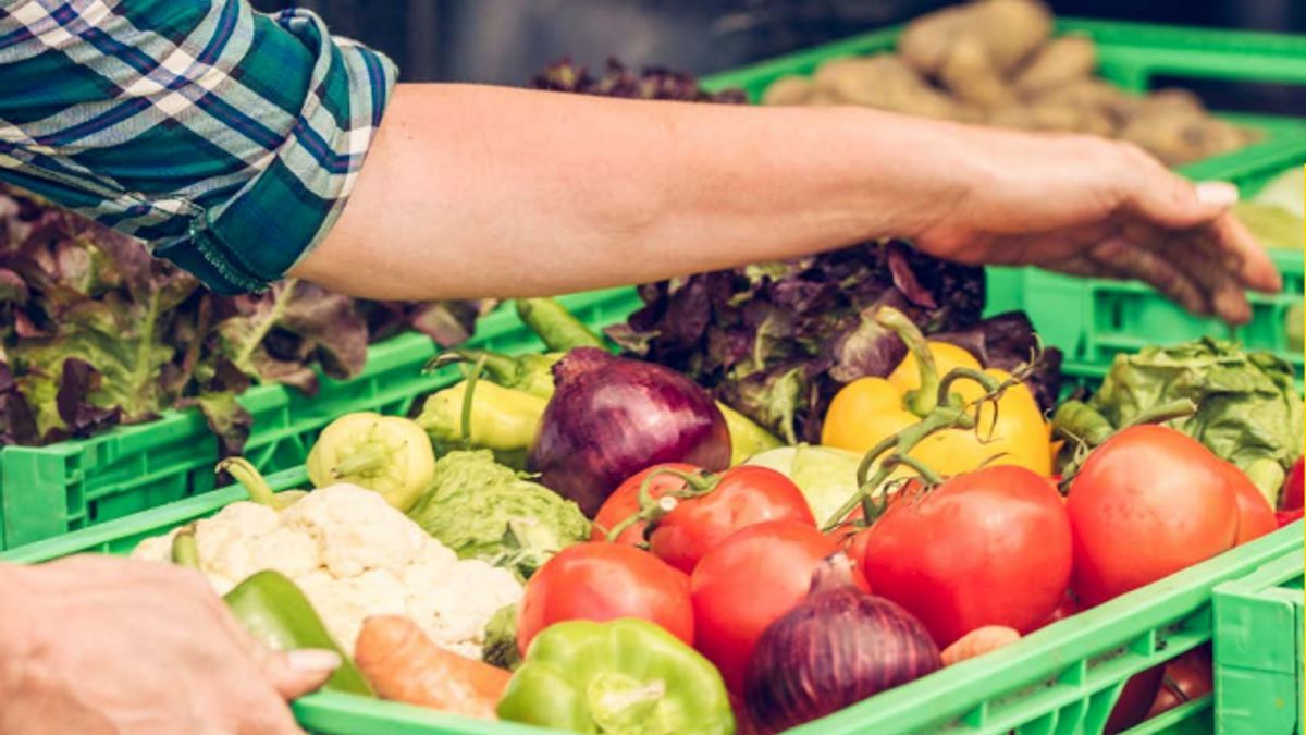 Food waste solutions must not shy away from processing, IFT says