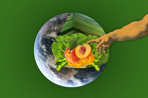 Can we produce more food with less farming? A new book has ideas.