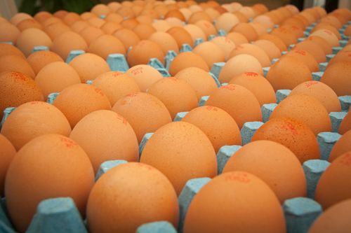 Egg inflation? Ingredion’s got the recipe right