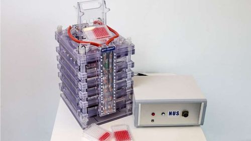 Scientists develop novel technique to grow meat in the lab using magnetic field