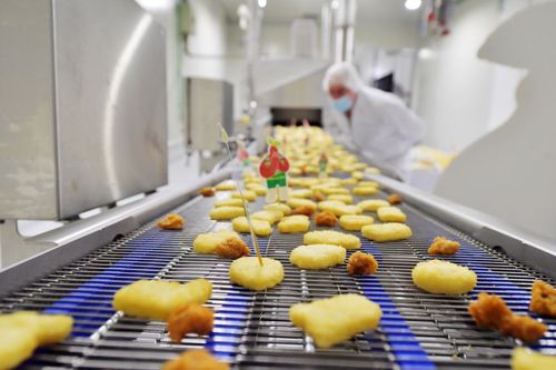 First fully automated large-scale production line for plant-based protein launched in Singapore