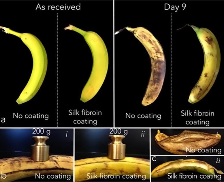 MIT Startup Wraps Food in Edible, Imperceptible Silk Coating for Better Shelf Life