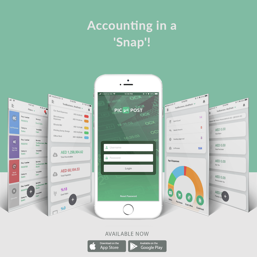 Pic W Post - Accounting in a SNAP!