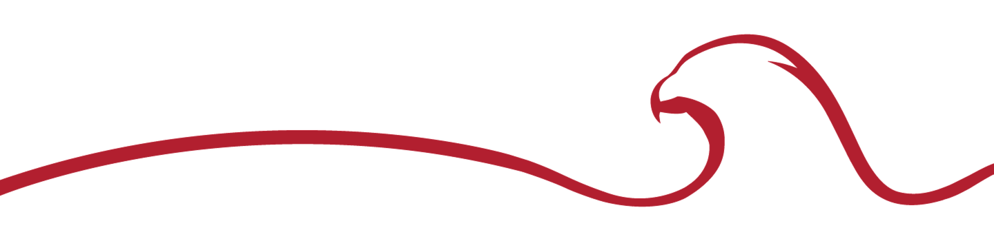 Dubai Civil Aviation Authority (DCAA)