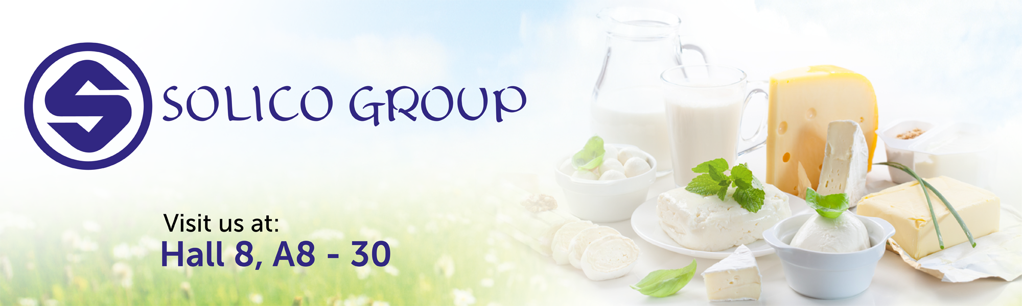 Solico group