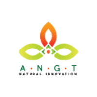 ANGT LLC