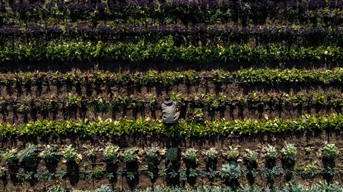 Can the world feed 8bn people sustainably?