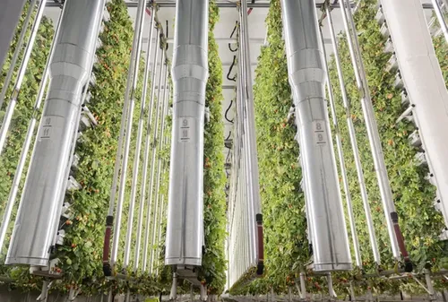 Robotic Bees Could Support Vertical Farms Today and Astronauts Tomorrow