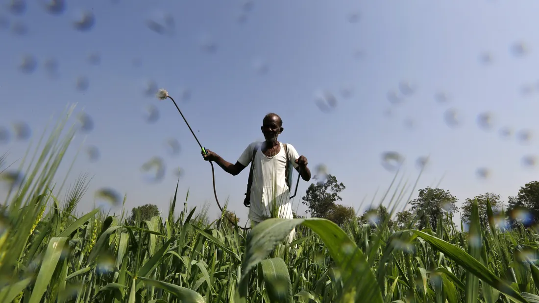 Why the UAE, US, and Israel Are Eyeing Indian Agriculture