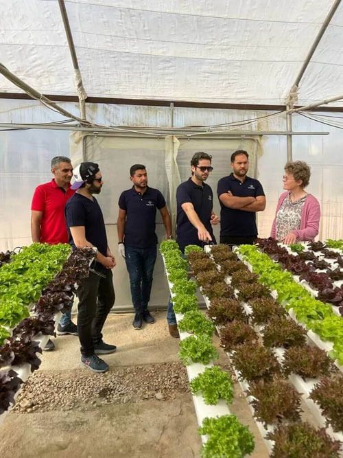 UAE & Egypt will face a significant shortage of skilled labor for climate-smart farms. Here’s why that’s important.