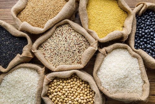 Can millets help pave the way to a sustainable future?