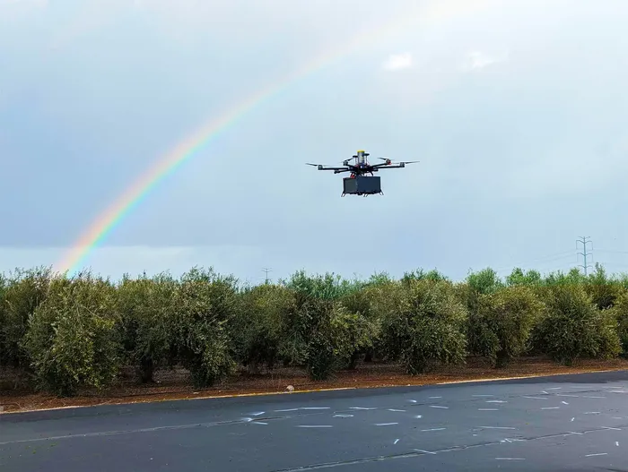 French Fries & Bananas Top The List of Popular Drone-Delivered Items