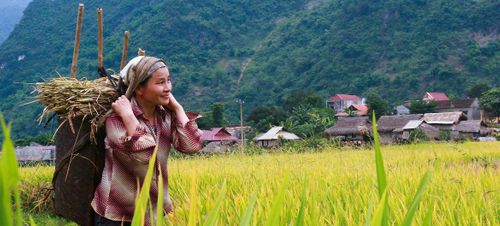 INTERVIEW: Food systems contribute to solving ‘world's most important challenges’