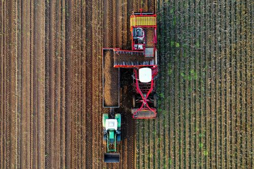 Why This Company Is Growing Vegetables In Bioreactors Instead of Fields