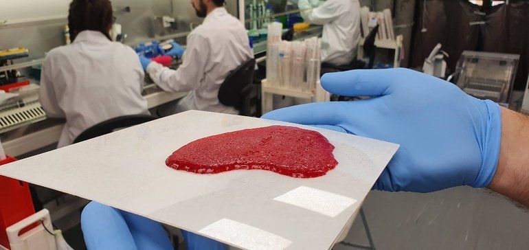 Meat-Tech 3D expands cultured meat with printed tissue and acquisition