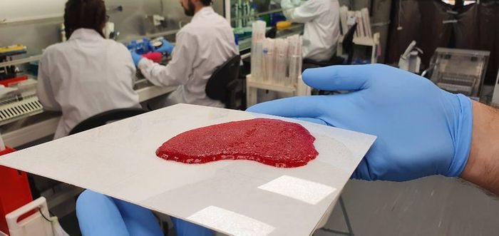 Meat-Tech 3D expands cultured meat with printed tissue and acquisition