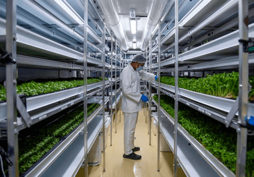 Bright lights on smart farming