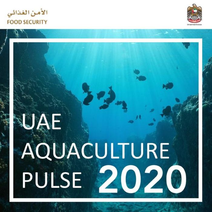Minister of State for Food Security launches UAE Aquaculture Pulse 2020 guideline