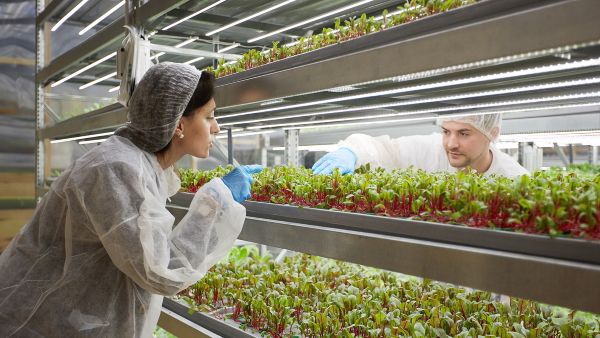 Agtech startup iFarm raises $4M for automated indoor farming