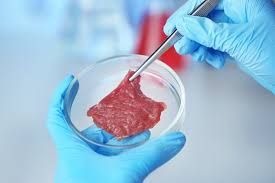 Fortifying cultured meat: Beta-carotene produced by cow muscle cells