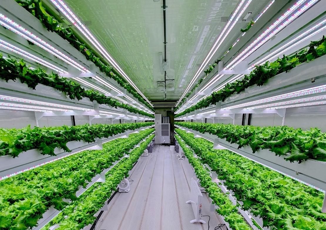 Smart Acres Vertical Farming Company Launch in UAE in 2020