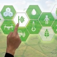 FAO and Johns Hopkins launch online dashboard for “better global food policies”