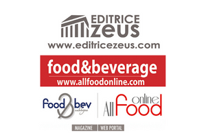 Media Partner