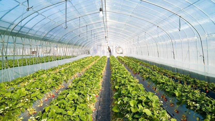4 ways food tech can lead to more resilient and sustainable food systems