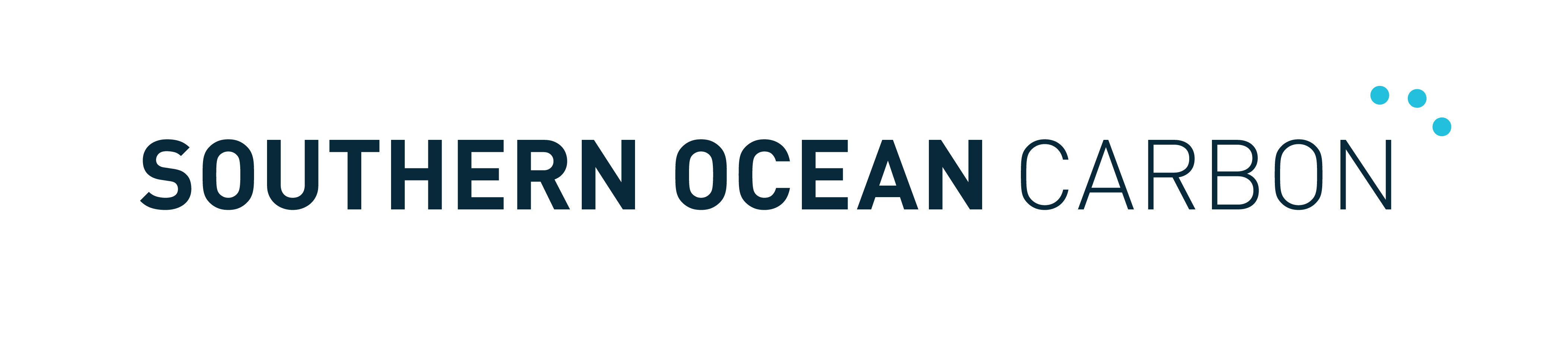 Southern ocean carbon
