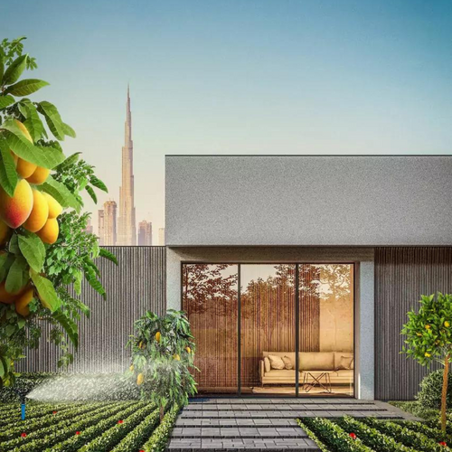 Dubai Municipality unveils Dubai’s Best Homegrown Produce Competition