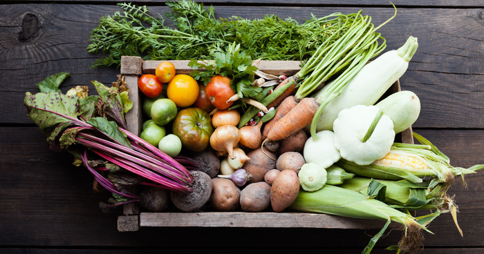 Governments put sustainable food systems on the table at COP28