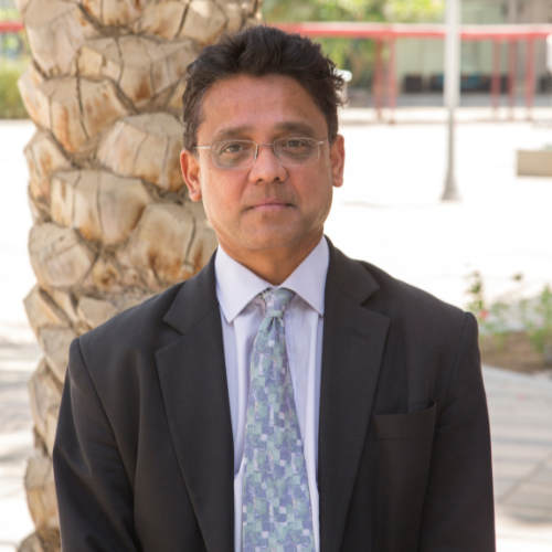 Lakmal Seneviratne - Khalifa University